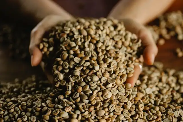 Which is the Largest Coffee Producing State of India Answer - Largest coffee producing state in India